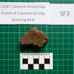 Trench 1 photograph, Pottery Fragment SF3, Colpy