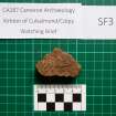 Trench 1 photograph, Pottery Fragment SF3, Colpy