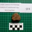 Trench 1 photograph, Pottery Fragment SF4, Colpy