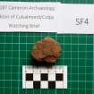 Trench 1 photograph, Pottery Fragment SF4, Colpy