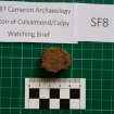 Trench 1 photograph, Pottery Fragment SF8, Colpy