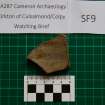 Trench 1 photograph, Pottery Fragment SF9, Colpy