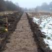 Archaeological evaluation, Post-excavation view of trench 17 from W, Merchiston House, Brookfield