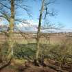 Archaeological Evaluation photograph, Lower Gauls Barrow, Location shot