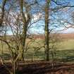 Archaeological Evaluation photograph, Lower Gauls Barrow, Location shot