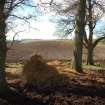 Archaeological Evaluation photograph, Lower Gauls Barrow, Location shot