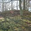 Archaeological Evaluation photograph, Lower Gauls Barrow, Location shot