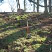 Archaeological Evaluation photograph, Lower Gauls Barrow, Location shot