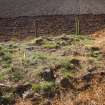 Archaeological Evaluation photograph, Lower Gauls Barrow, Location shot