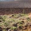 Archaeological Evaluation photograph, Lower Gauls Barrow, Location shot