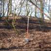 Archaeological Evaluation photograph, Lower Gauls Barrow, Location shot