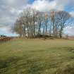 Archaeological Evaluation photograph, Lower Gauls Barrow, Location shot