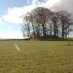 Archaeological Evaluation photograph, Lower Gauls Barrow, Location shot