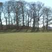 Archaeological Evaluation photograph, Lower Gauls Barrow, Location shot