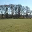 Archaeological Evaluation photograph, Lower Gauls Barrow, Location shot