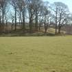 Archaeological Evaluation photograph, Lower Gauls Barrow, Location shot