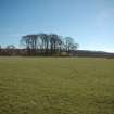 Archaeological Evaluation photograph, Lower Gauls Barrow, Location shot