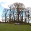 Archaeological Evaluation photograph, Lower Gauls Barrow, Location shot