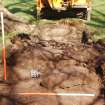 Archaeological Evaluation photograph, Lower Gauls Barrow, Retaining wall 0204 and bank material 0205