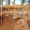 Archaeological Evaluation photograph, Lower Gauls Barrow, Stones 0303