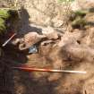 Archaeological Evaluation photograph, Lower Gauls Barrow, Retaining wall 0204