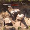 Archaeological Evaluation photograph, Lower Gauls Barrow, Retaining wall 0204