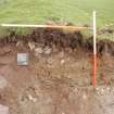 Archaeological Evaluation photograph, Lower Gauls Barrow, Bank material 0205, in E-facing section of Trench 02