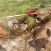 Archaeological Evaluation photograph, Lower Gauls Barrow, Bank material 0205, in W-facing section of Trench 02