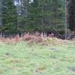 Walkover survey, Site 6 from N, Fordie Hydro, Comrie, Perthshire