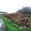 Walkover survey, Remains of Balmenoch farmstead from S, Fordie Hydro, Comrie, Perthshire