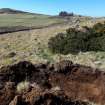 In the pasture to the SW of the steading there is evidence of former land-use. This view looks WSW along the line of a stone wall that has been removed leaving only a shallow groove in the surface of the turf. The disturbed area on the line of the feature is an excavation trench dug by machine for the Cabrach Trust investigation of the site in April 2019.