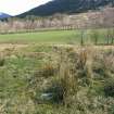 Walkover survey, Remains of building at Bailemeanoch from SW, Ballimore Hydro, Balquhidder