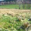 Walkover survey, Part of enclosure wall to E of the building at Bailemeanoch from SW, Ballimore Hydro, Balquhidder