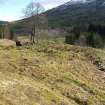 Walkover survey, Former settlement of Clachglas from SW, Ballimore Hydro, Balquhidder