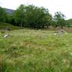 Walkover survey, Enclosure towards the N end of the Allt More scheme from S, Hydro-Electric Schemes, Garrogie Estate, Fort Augustus