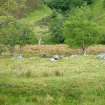 Walkover survey, Enclosure towards N end of the Allt More scheme from W, Hydro-Electric Schemes, Garrogie Estate, Fort Augustus