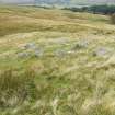 Walkover survey, Site E, Shieling hut from S, Hydro-Electric Scheme, Gleann Dubh, Glen Dochart