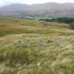 Walkover survey, Site E, Shieling hut from S, Hydro-Electric Scheme, Gleann Dubh, Glen Dochart