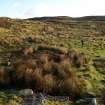 Walkover survey photograph, Drumfork, Bridge of Cally