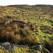 Walkover survey photograph, Drumfork, Bridge of Cally