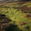 Walkover survey photograph, Drumfork, Bridge of Cally