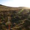 Walkover survey photograph, Drumfork, Bridge of Cally