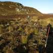 Walkover survey photograph, Drumfork, Bridge of Cally