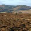 Walkover survey photograph, Drumfork, Bridge of Cally