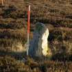 Walkover survey photograph, Drumfork, Bridge of Cally