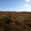 Walkover survey photograph, Drumfork, Bridge of Cally