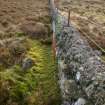 Walkover survey photograph, Drumfork, Bridge of Cally