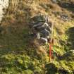 Walkover survey photograph, Drumfork, Bridge of Cally