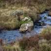 Walkover survey photograph, Drumfork, Bridge of Cally