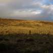 Walkover survey photograph, Drumfork, Bridge of Cally